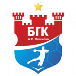 HC Meshkov Brest
